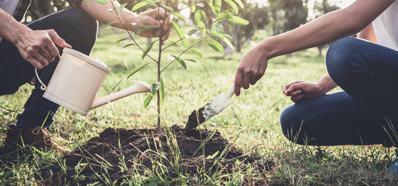 構成団体の環境活動